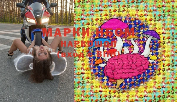 сатива Арсеньев