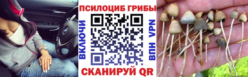Галлюциногенные грибы GOLDEN TEACHER  Перевоз 